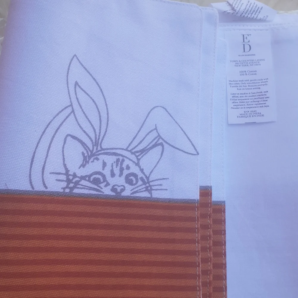 EASTER 🐇set 8 Easter Bunny placemat Ellen DeGeneres orange stripe Orange READ
